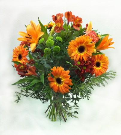 R-17 RAMO COLOR NARANJA